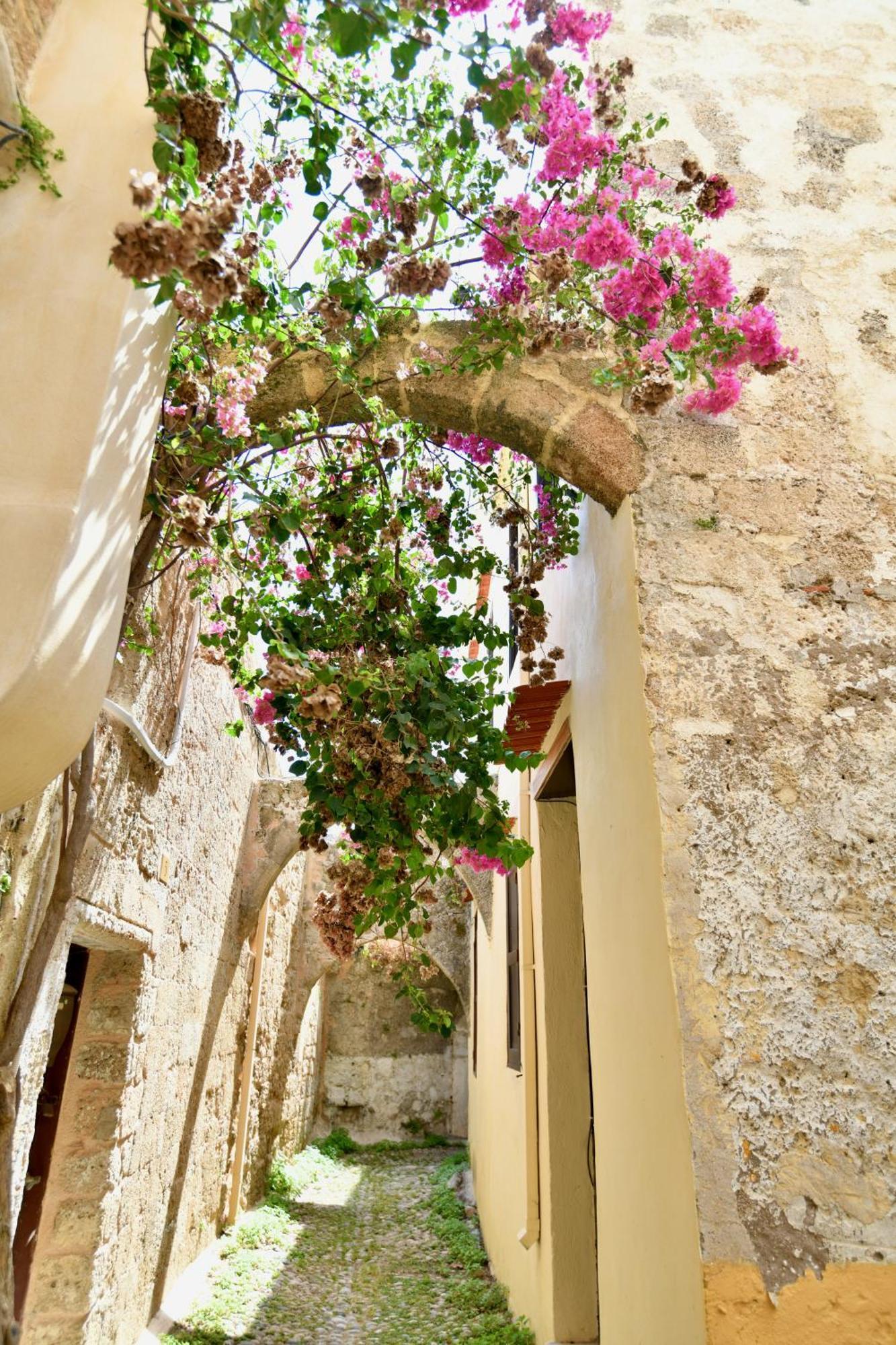 Lejlighed Penelope Garden House Old Town Rhodes City